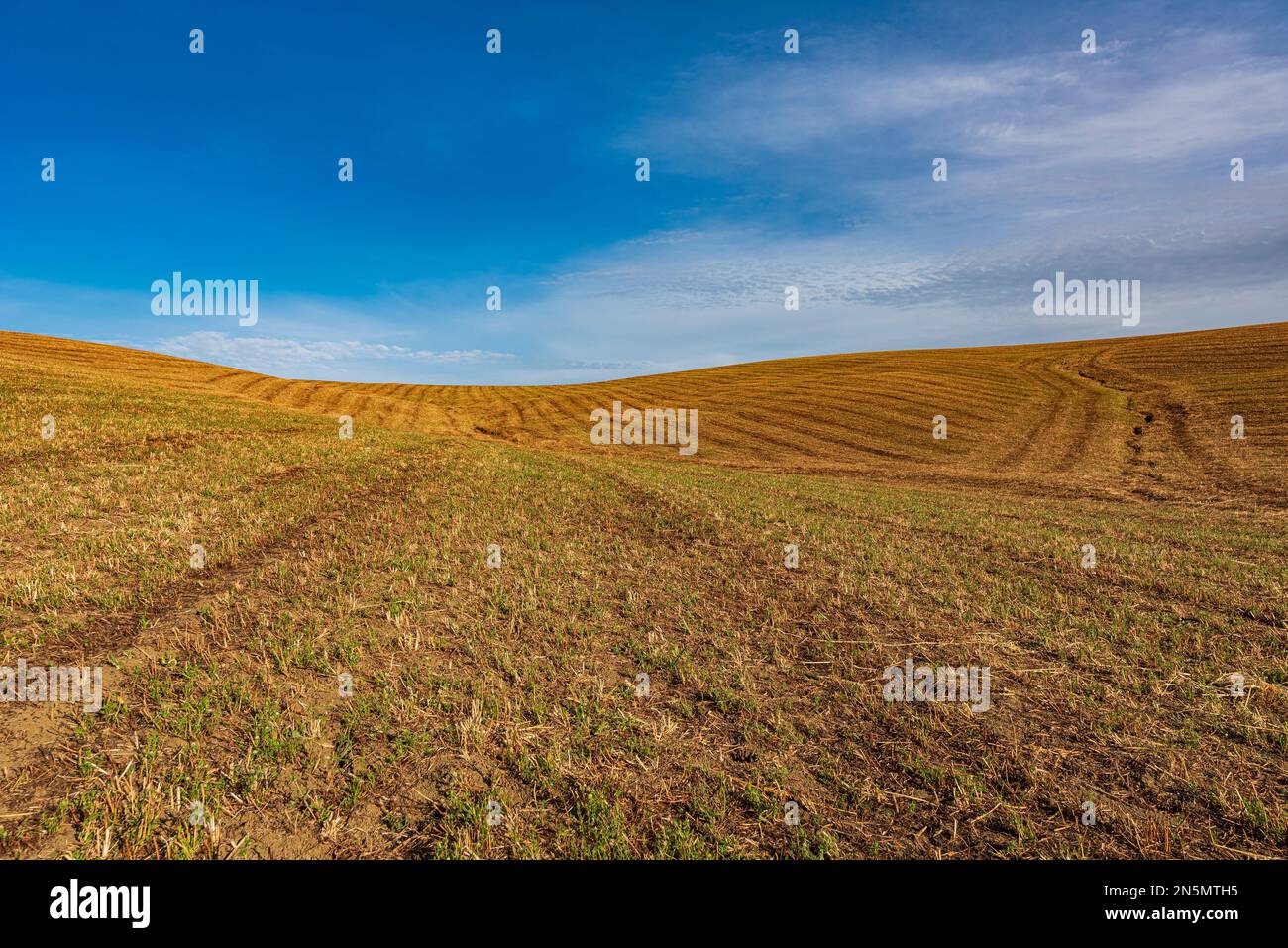 Pflugland mit Traktor, Sizilien Stockfoto