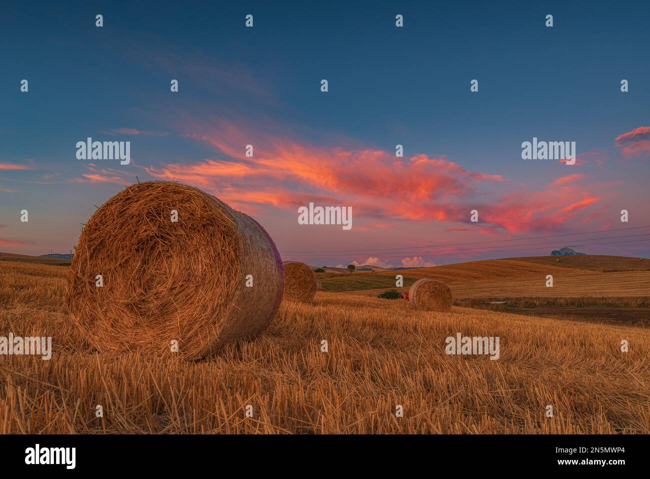 Heuballenfeld in der Abenddämmerung, Sizilien Stockfoto