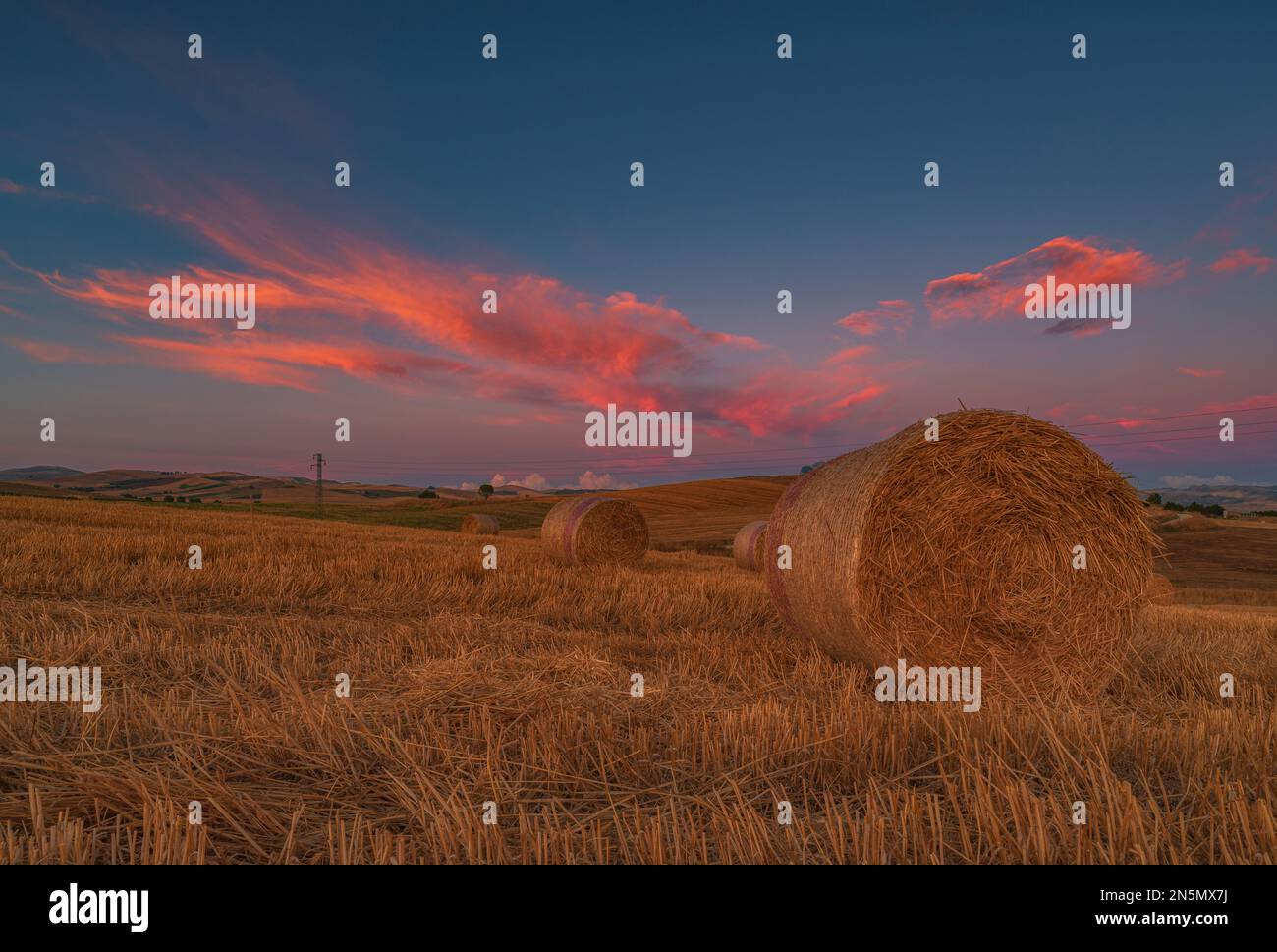 Heuballenfeld in der Abenddämmerung, Sizilien Stockfoto