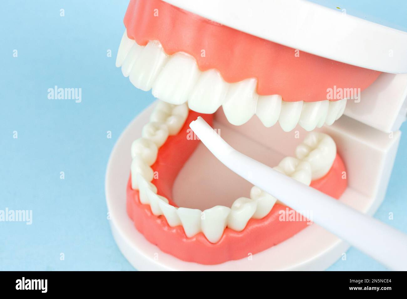 Falsche Zähne mit Mundhöhlenspülung, die Zähne und Kiefer reinigt. Zahnärztliche Instrumente und zahnhygienisches Check-up-Konzept Stockfoto