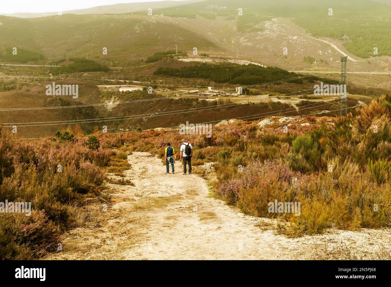 Zwei Männer mit ihren Hunden wandern an einem Frühlingstag auf dem Land. Stockfoto