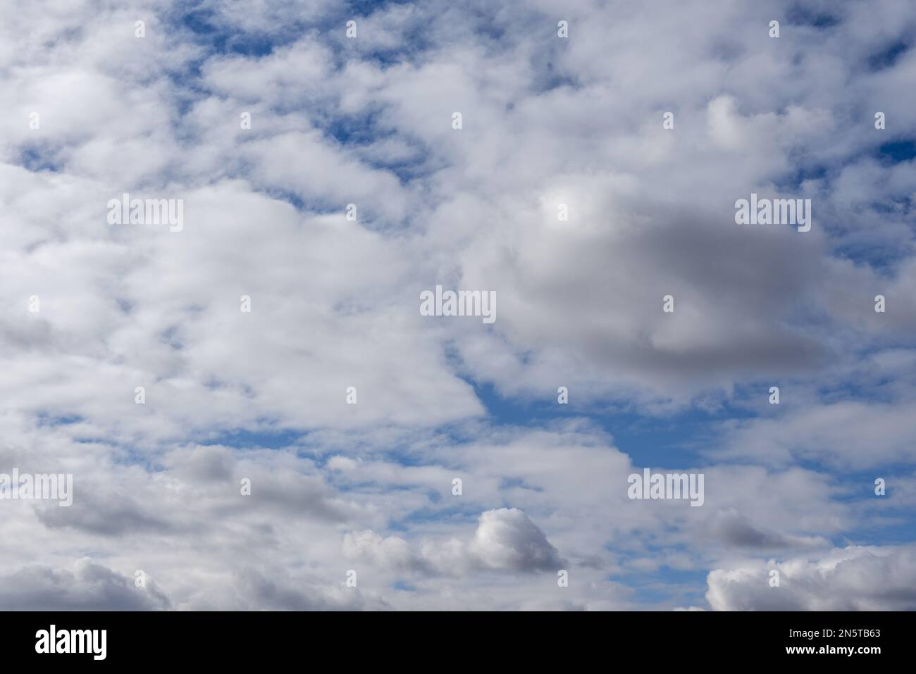 Bild eines ziemlich bewölkten Himmels mit einigen Lichtern, die vom Wind, der den Horizont überquert, aufgeregt werden. vektorwoll-Texturhintergrund Stockfoto