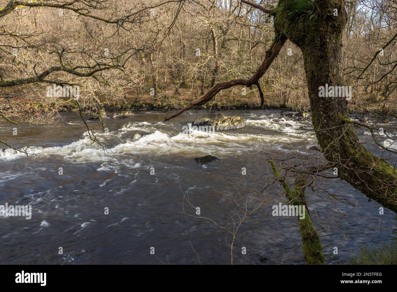 Die Fälle von Leny am Fluss Leny. (Auch bekannt als Garbh uisge) vom Rob Roy Way am Pass of Leny, Loch Lomond und dem Trossachs National Park, Schottland Stockfoto