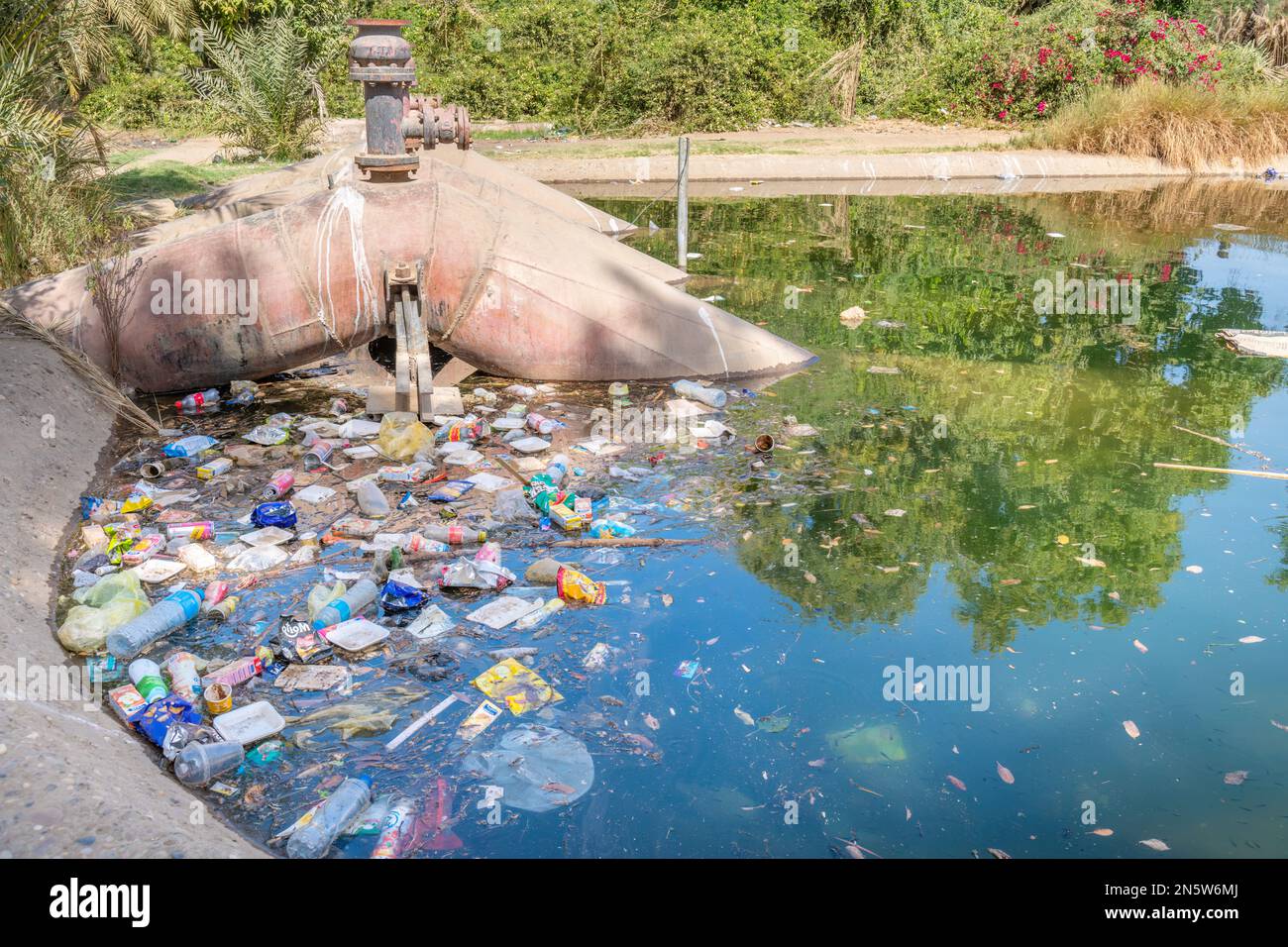 Plastikabfälle in einem Teich, der vom Nil in Assuan, Ägypten, gepumpt wird Stockfoto