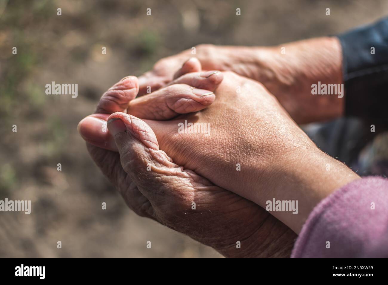 Hände alter Großmutter und Enkelin, Zärtlichkeit und Fürsorge Stockfoto