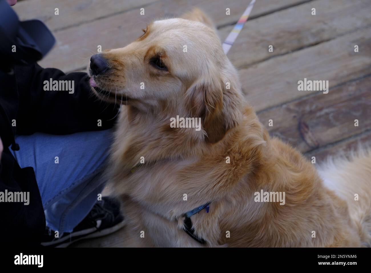 Wintersurfen in Kalifornien Stockfoto