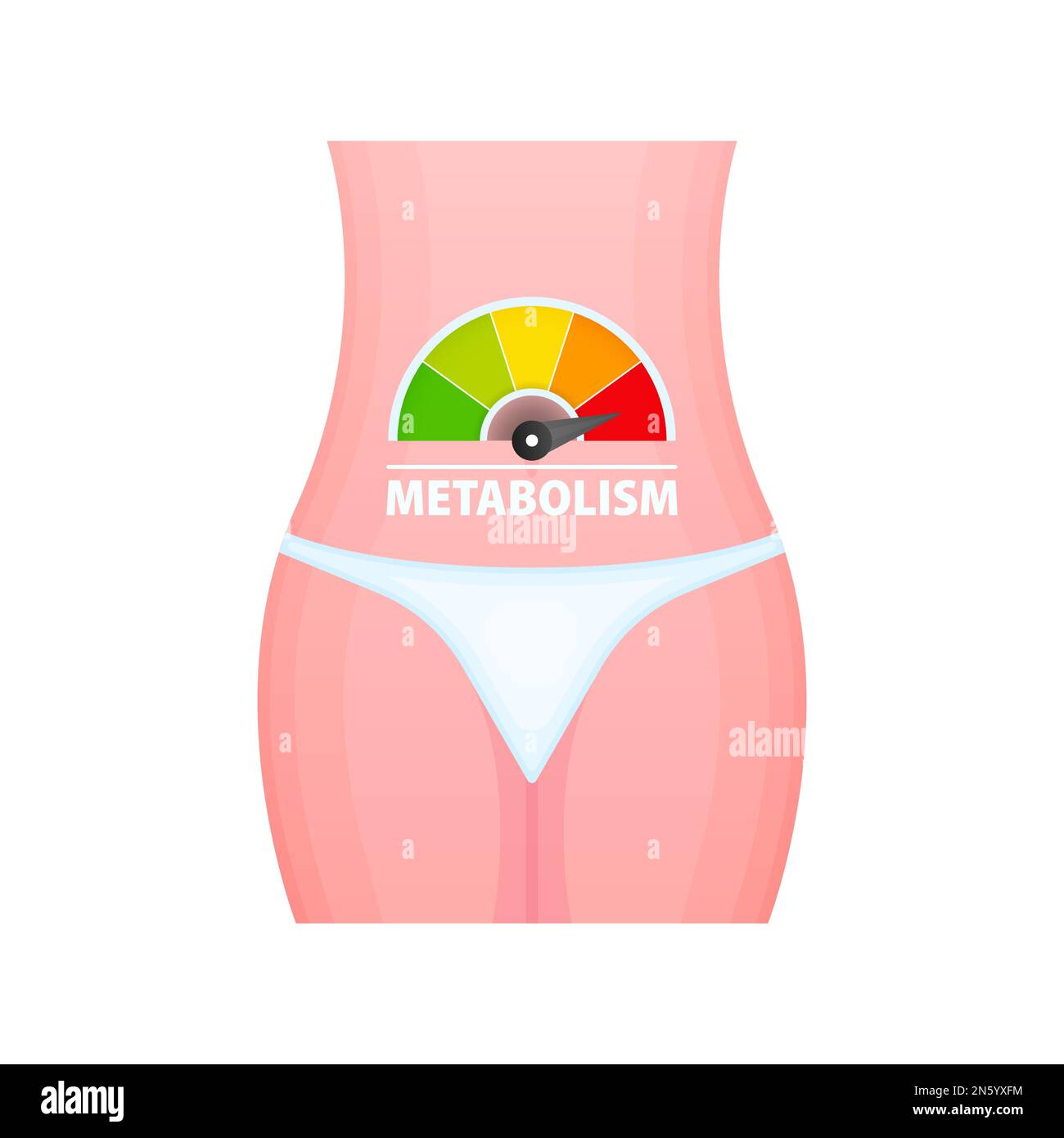Stoffwechselwaage, Tachometer, Indikatoren. Stoffwechselmedizin. Stock Vektor