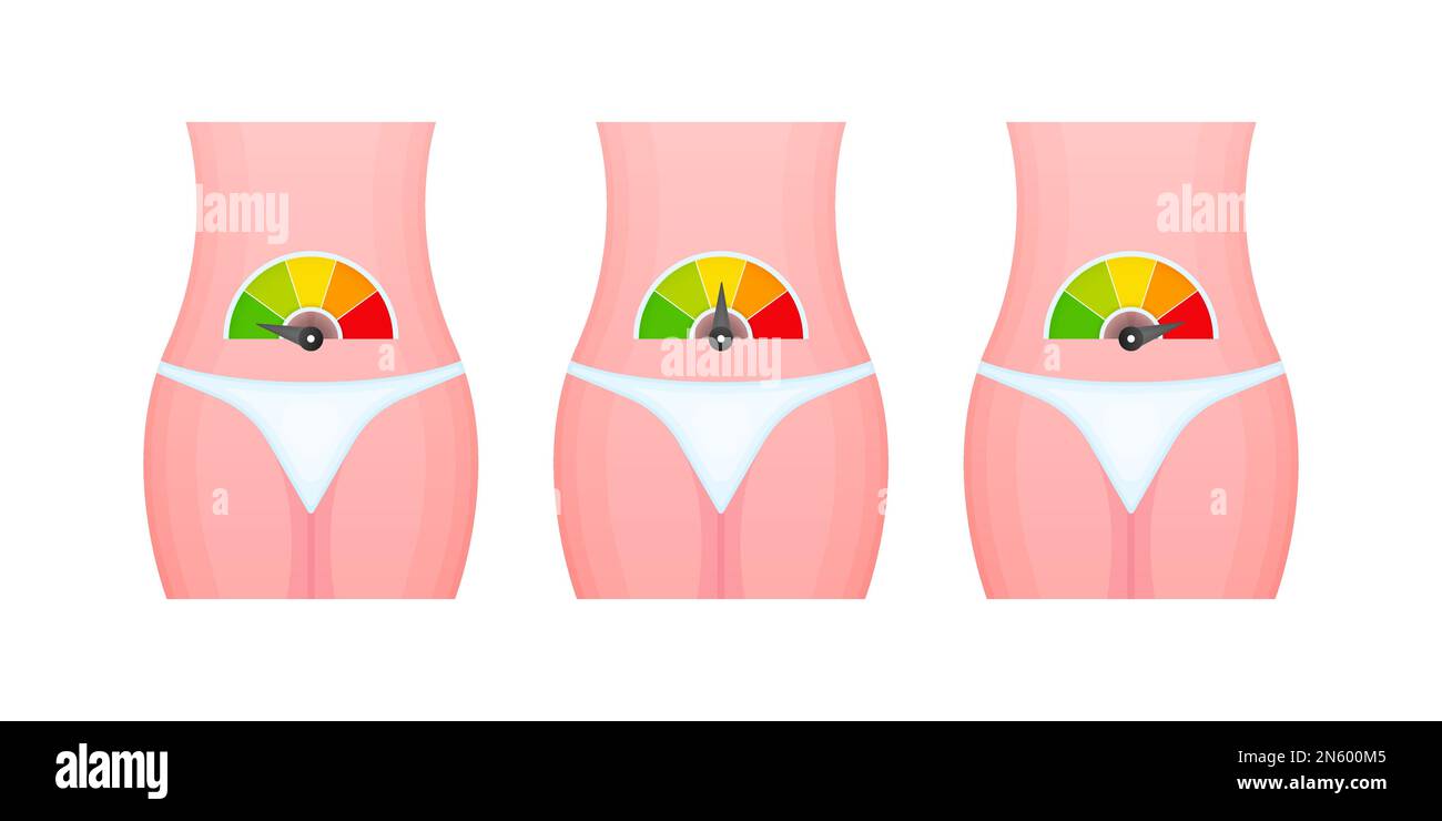Stoffwechselwaage, Tachometer, Indikatoren. Stoffwechselmedizin. Stock Vektor