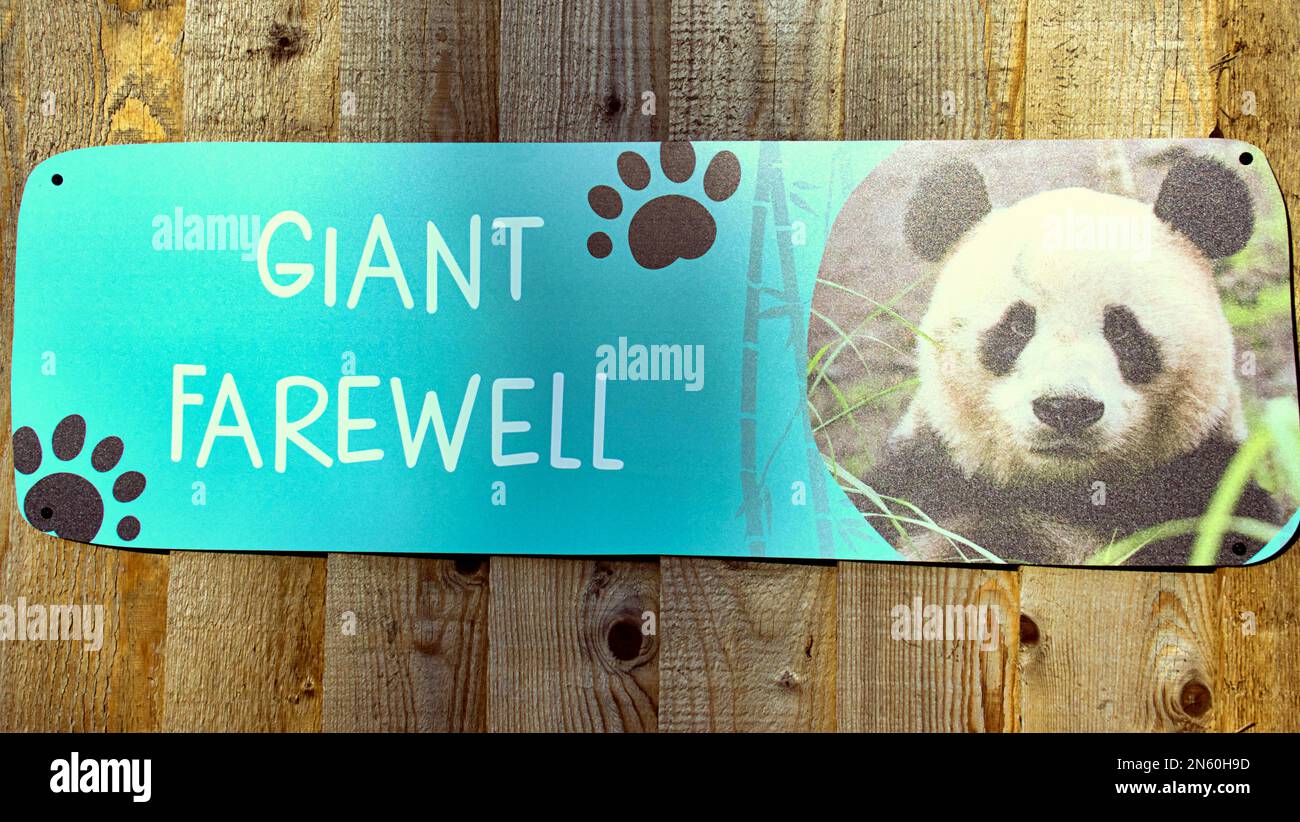 Edinburgh, Schottland, Vereinigtes Königreich 9. Februar 2023. Der Zoo von Edinburgh startet Auf Wiedersehen nach einem über 10-jährigen Aufenthalt in Edinburgh in Pandas. Sie wurden kostenlos gemacht, ohne zu buchen, und es wurden Poster mit der Aufschrift „Auf Wiedersehen“ aufgehängt. Yang Guang und Tian Tian kamen 2011 in Schottland an und sollen im Oktober 2023 in ihre Heimat zurückgeschickt werden . Credit Gerard Ferry/Alamy Live News Stockfoto