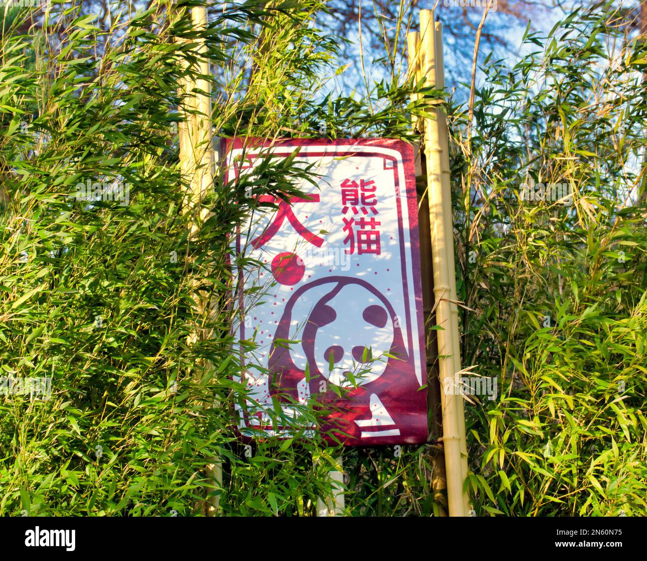 Edinburgh, Schottland, Vereinigtes Königreich 9. Februar 2023. Der Zoo von Edinburgh startet Auf Wiedersehen nach einem über 10-jährigen Aufenthalt in Edinburgh in Pandas. Sie wurden kostenlos gemacht, ohne zu buchen, und es wurden Poster mit der Aufschrift „Auf Wiedersehen“ aufgehängt. Yang Guang und Tian Tian kamen 2011 in Schottland an und sollen im Oktober 2023 in ihre Heimat zurückgeschickt werden . Credit Gerard Ferry/Alamy Live News Stockfoto