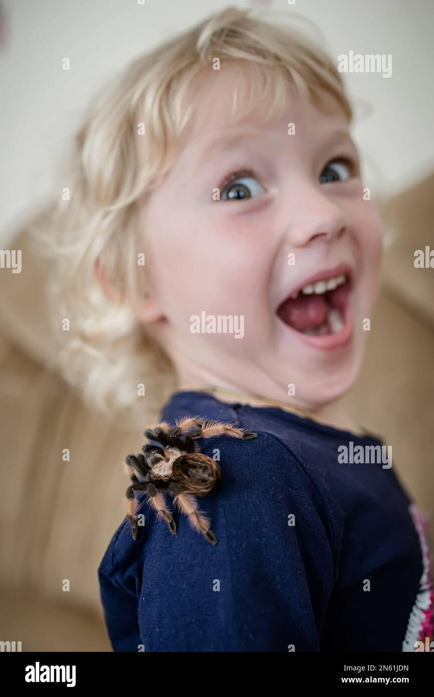 Das Kind hatte Angst vor einer riesigen Spinne, die auf seinem Rücken krabbelte. Das Baby hat Angst, dass die Tarantel auf ihrer Schulter springt. Stockfoto