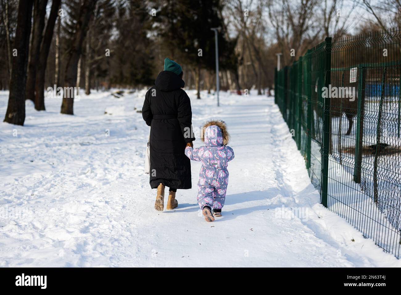 Rückblick auf Mutter und Kind, die an einem sonnigen, frostigen Wintertag im Park in der Nähe des Freiluftzoos mit Lama spazieren gehen. Stockfoto