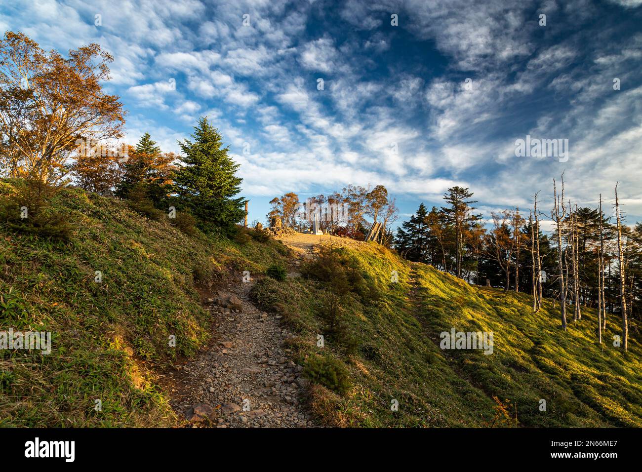 Gipfel des Mount Kumotori(2017m), Morgen, höchster Berg in Tokio, Okutama Stadt, Tokio, Japan, Ostasien, Asien Stockfoto