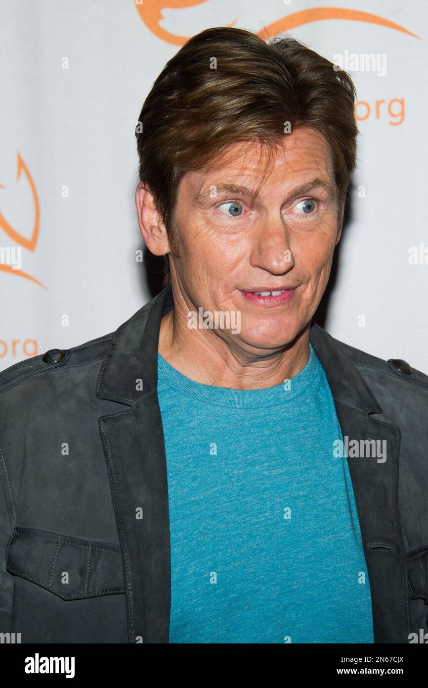 Denis Leary attends A Funny Thing Happened On The Way To Cure Parkinson’s benefit for The Michael J. Fox Foundation for Parkinson’s Research on Saturday, Nov. 9, 2013 in New York. (Photo by Charles Sykes/Invision/AP) Stockfoto