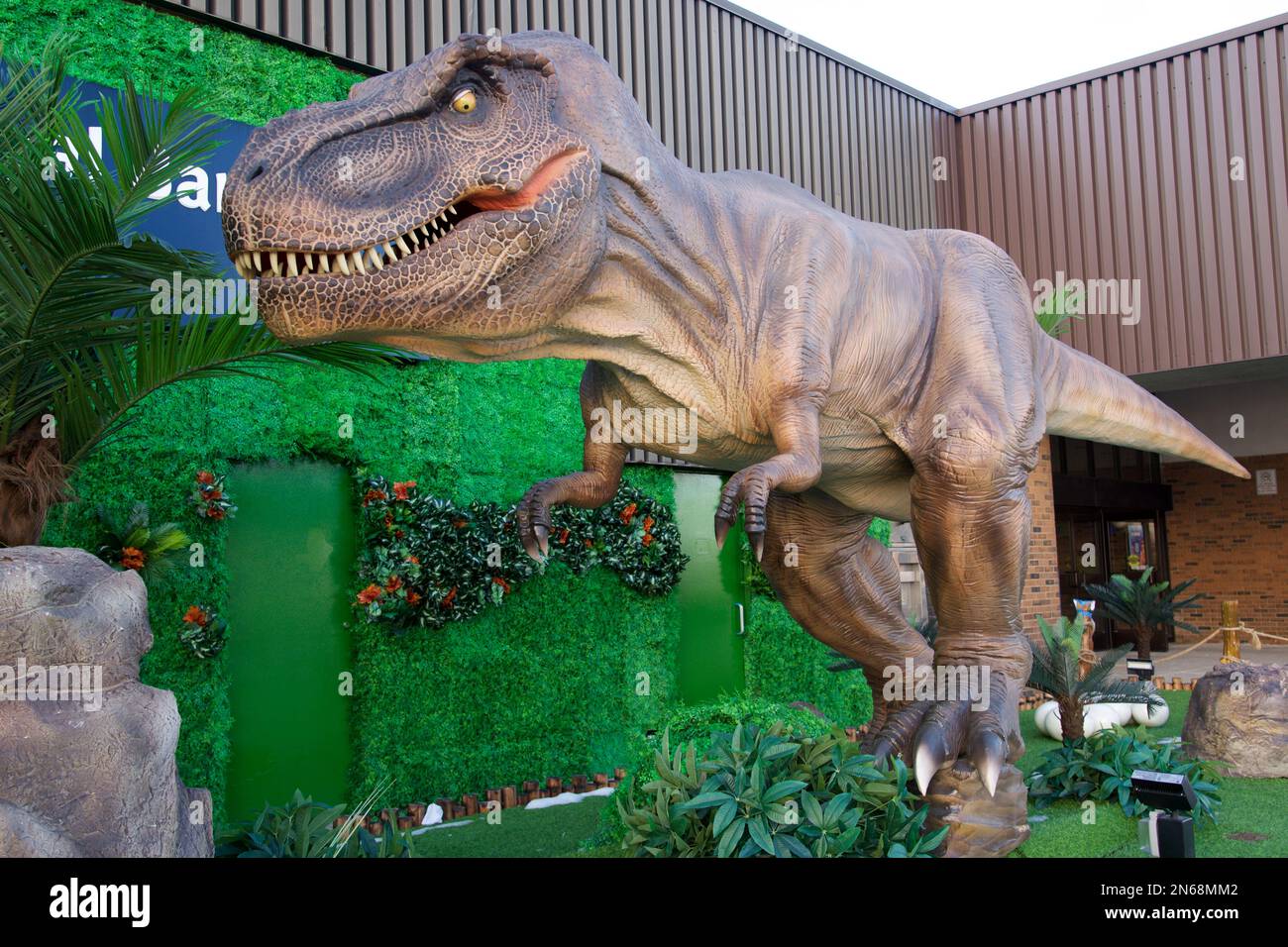 Ein lebensgroßes Modell eines Tyrannosaurus rex vor einem Einkaufszentrum Stockfoto