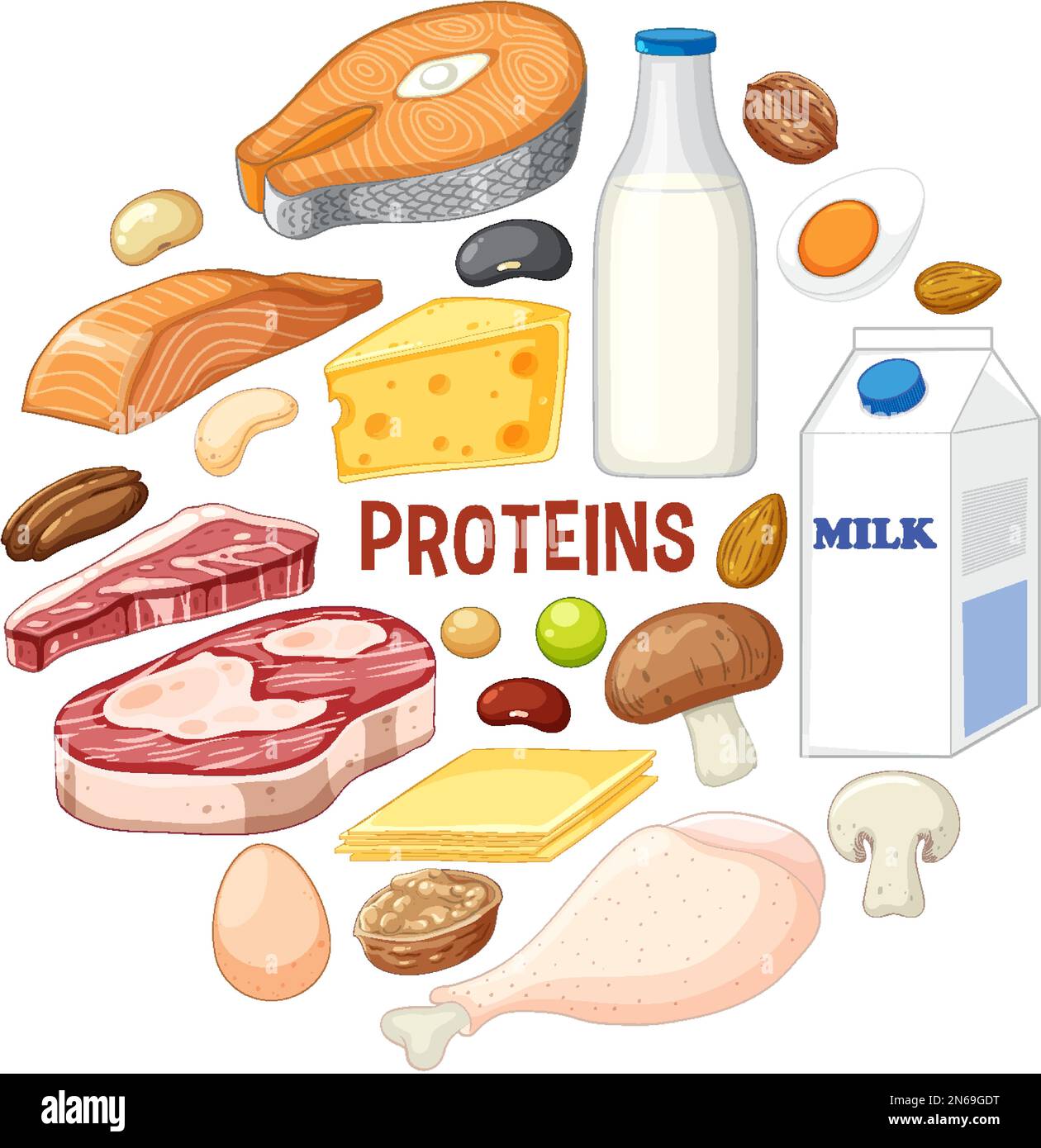 Vielfalt an Proteinnahrung mit Textabbildung Stock Vektor