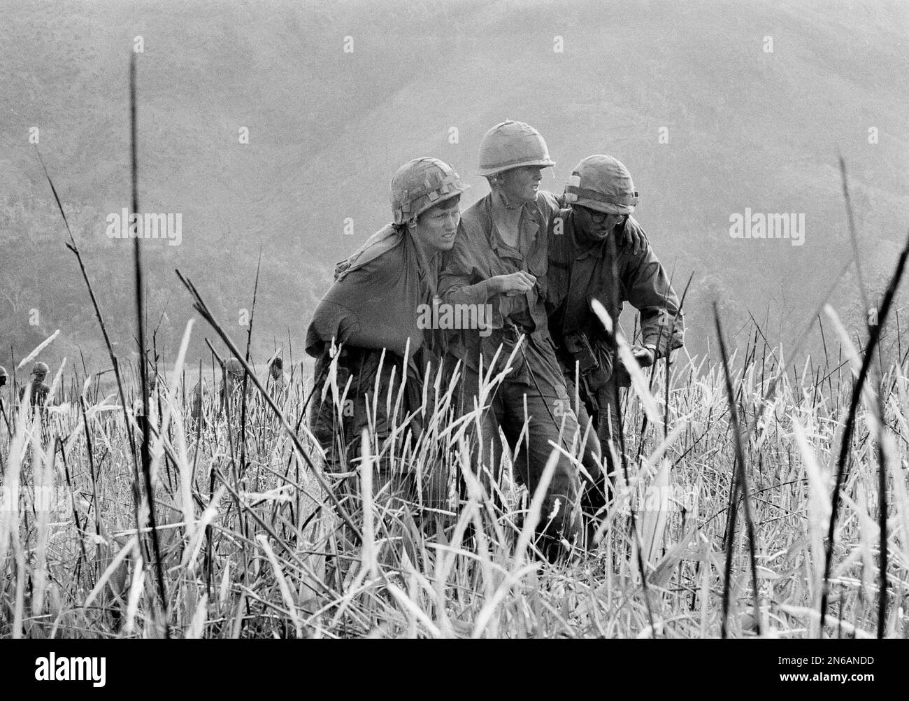 A wounded U.S. Marine, center, is helped by two comrades, one of whom has his arm in a sling, as they walk through tall grass toward the top of Hill 689 where the wounded are evacuated by helicopter, April 30, 1968. The marines fought North Vietnamese on a ridge, located 2 1/2 miles west of Khe Sanh, in a battle to retrieve the bodies of marines killed previously. (AP Photo) Stockfoto