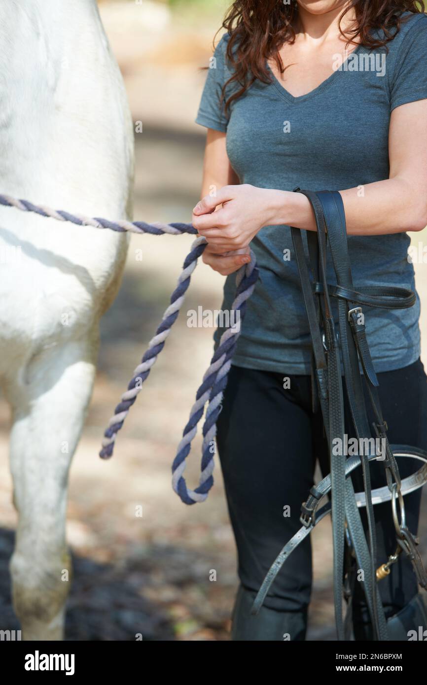 Sie muss das Zaumzeug anbringen, bevor sie reiten kann. Zugeschnittenes Bild einer Frau, die ihr Pferd und ihren Zauber hält. Stockfoto