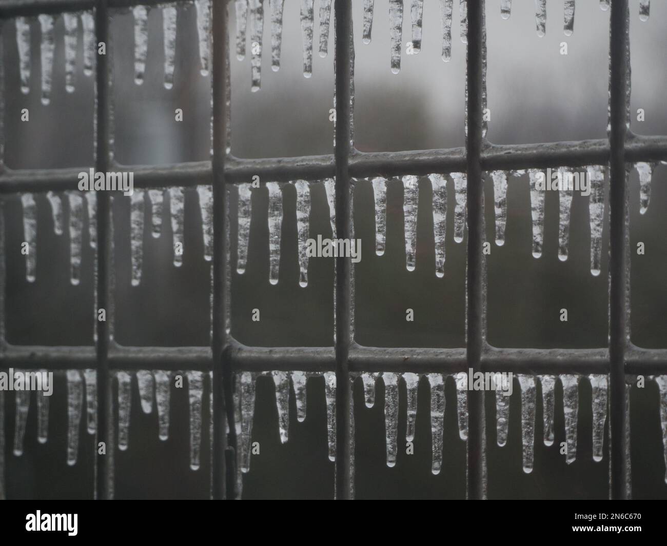 Eiszapfen während des Texas Ice Storm im Februar 2023 Stockfoto