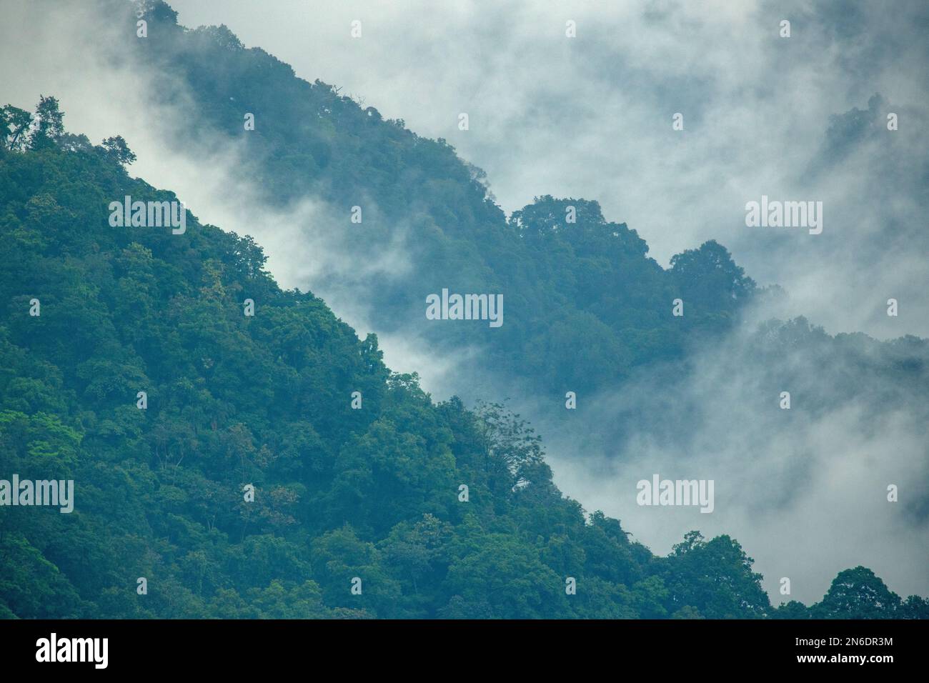 Wolken über unberührten Montanwäldern an der Grenze zwischen Indo und Bhutan Stockfoto