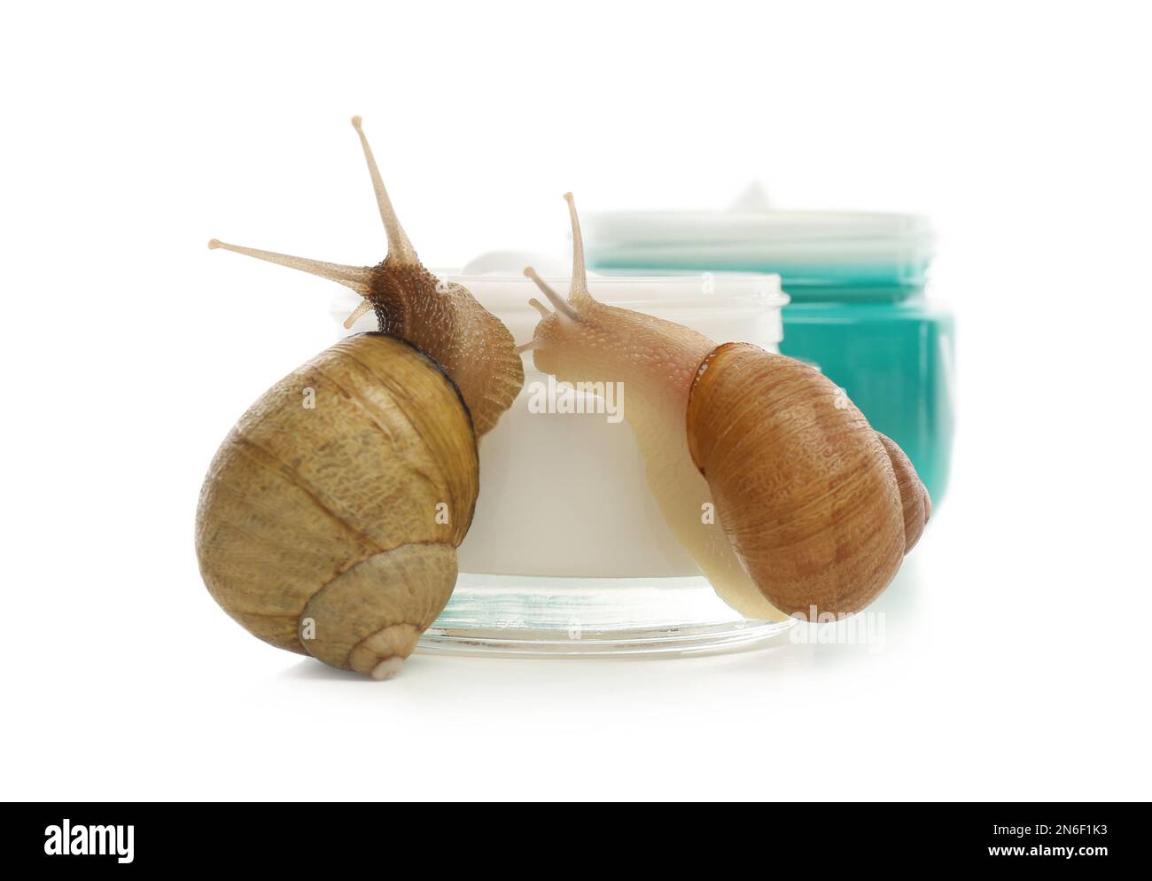 Schnecken und Gläser mit Creme, isoliert auf weiß Stockfoto