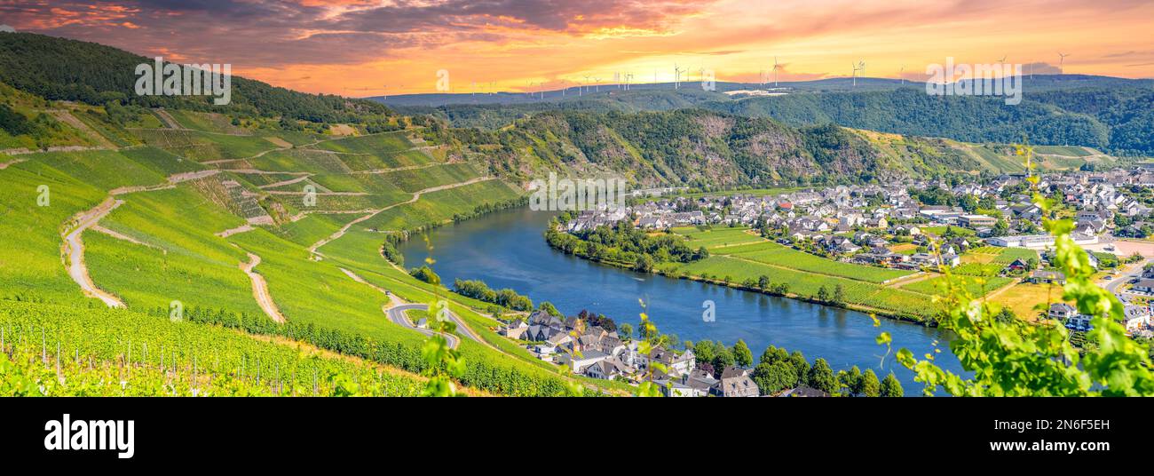 Panoramablick in Piesport, Deutschland Stockfoto