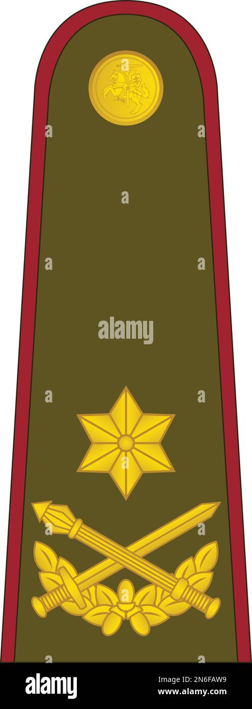 Abzeichen des militärischen Offiziers der litauischen BRIGADOS GENEROLAS (BRIGADEGENERAL) Stock Vektor