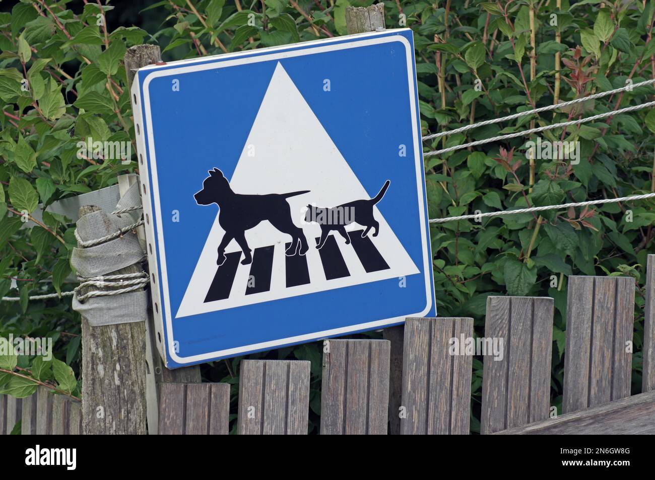 Selbstgemachtes Verkehrszeichen mit Hunden und Katzen, Skane, Schweden Stockfoto