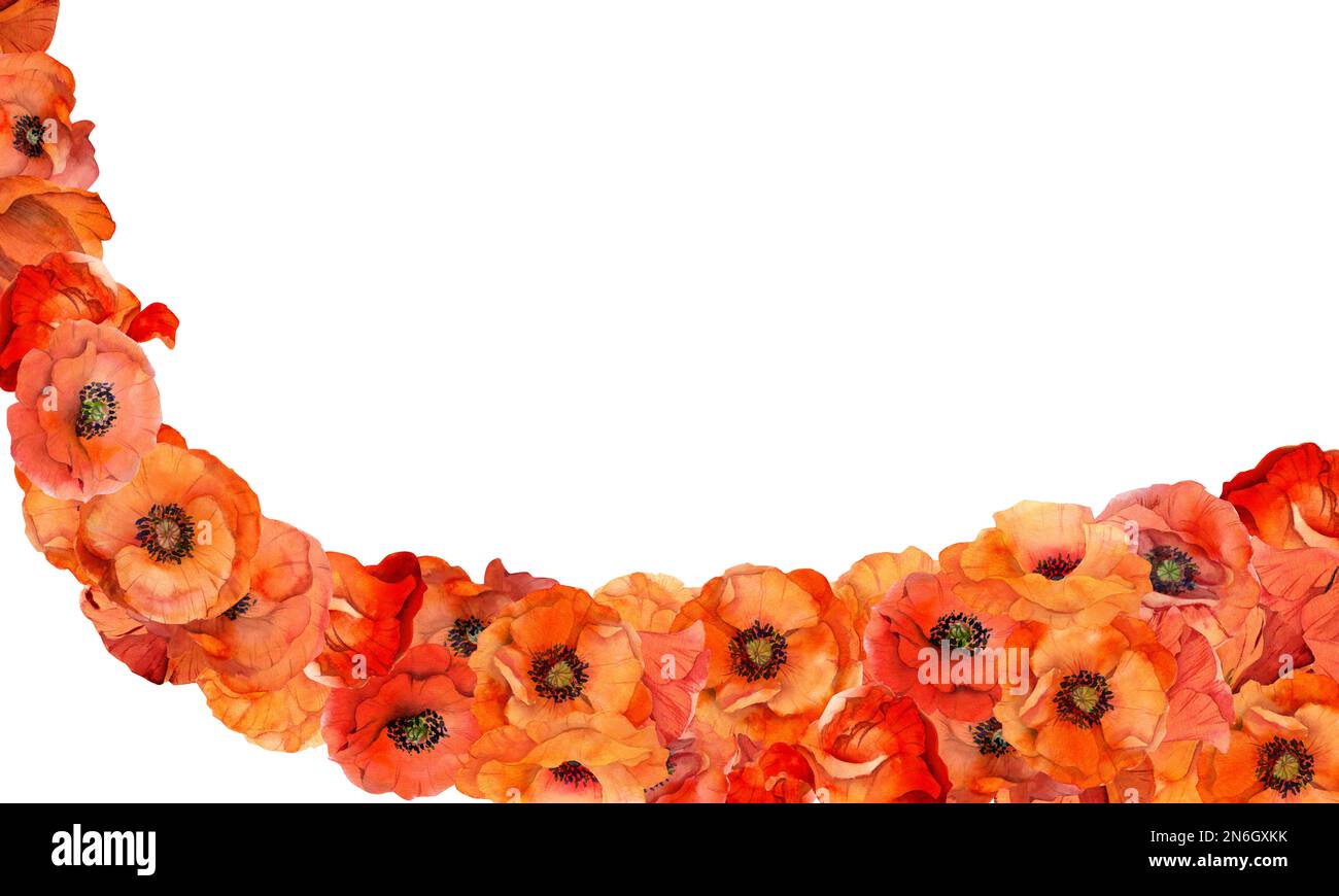 Quadratische Rahmenkomposition in Aquarellfarben mit handgezeichneten, leuchtend roten Mohnblumen im Sommer. Isoliert auf weißem Hintergrund. Entwurf für Einladungen, Hochzeiten Stockfoto