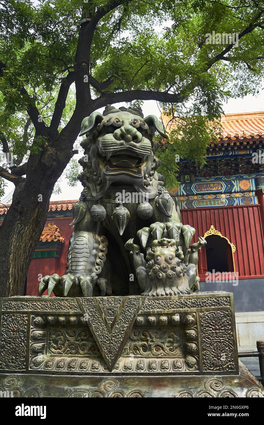 Drachenfigur im Llama-Tempel, Peking, China Stockfoto