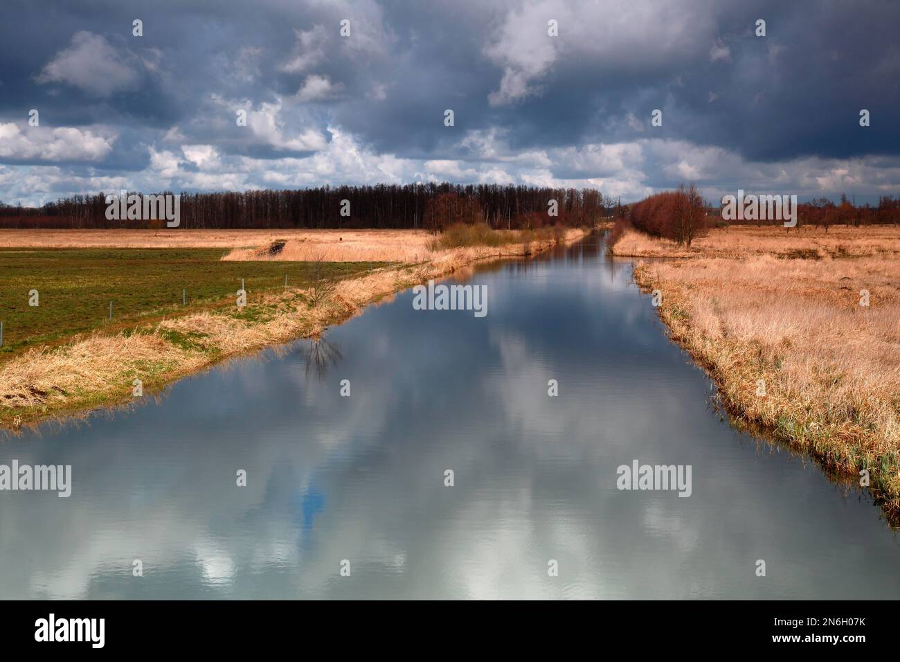 Wasserkanal durch ein Moor, Vergleich von Moorgebiet und Moordrainage, Naturpark Peenetal River Landscape, Mecklenburg-Vorpommern, Deutschland Stockfoto