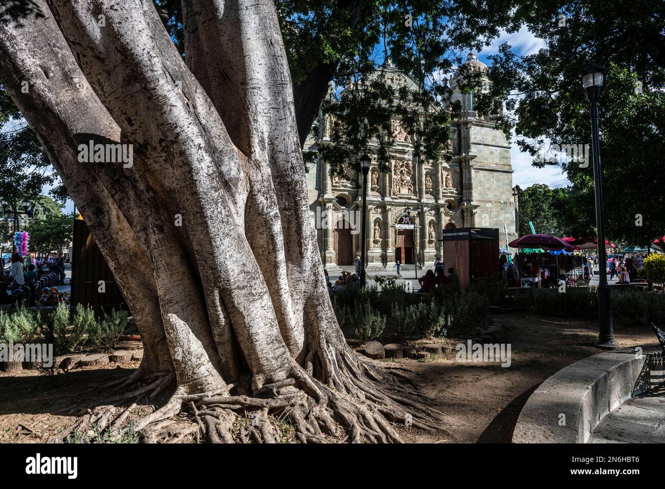 Kirche von Santo Domingo de Guzman, Oaxaca, Mexiko Stockfoto