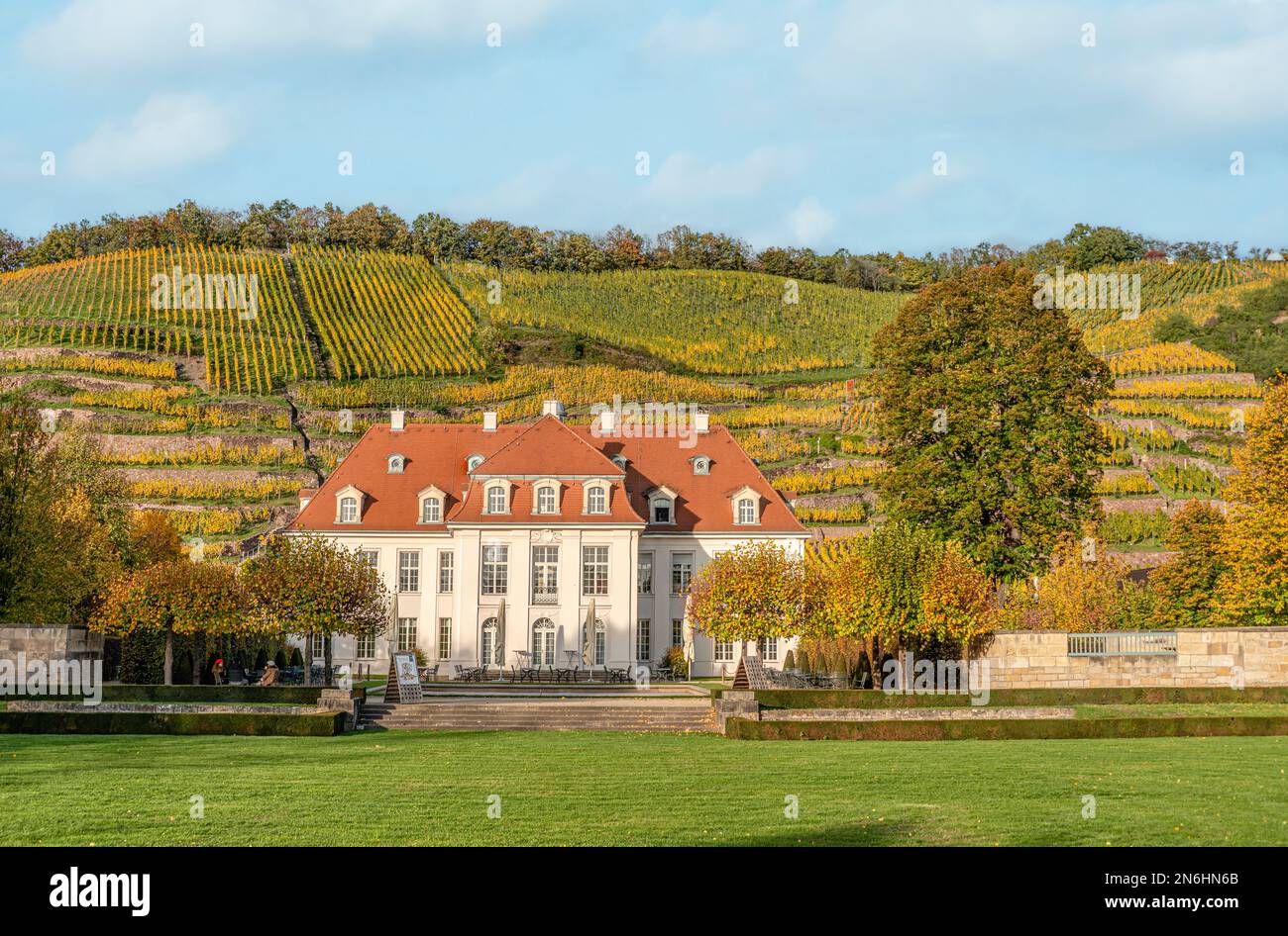 Das sächsische Staatsweingut Schloss Wackerbarth in Radebeul bei Dresden, Sachsen, Deutschland im Herbst Stockfoto