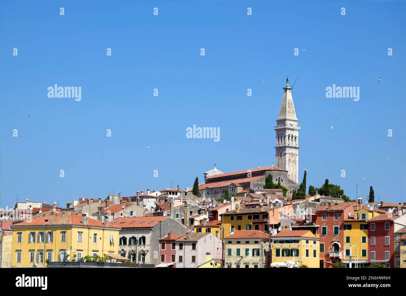 Altstadt von Rovinj und die Kathedrale von St. Euphämie. Blick auf die Altstadt von Rovinj, Istrien, Kroatien Stockfoto