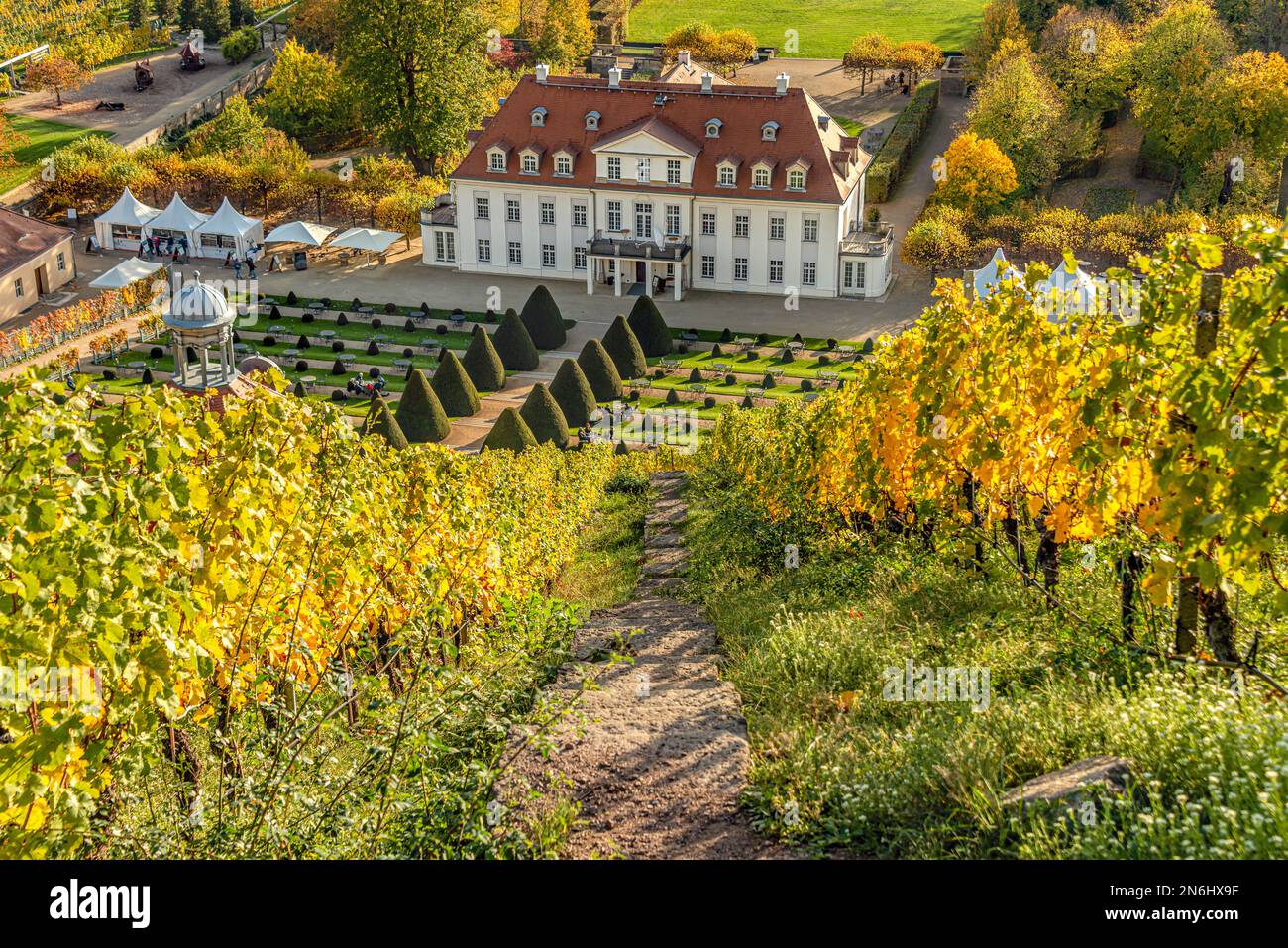Das sächsische Staatsweingut Schloss Wackerbarth in Radebeul bei Dresden, Sachsen, Deutschland im Herbst Stockfoto