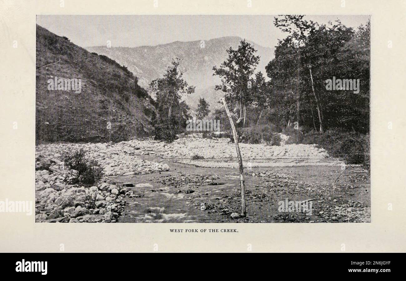 West Fork of the Creak aus der Artikel-BEWÄSSERUNGS-VERMESSUNG IN KALIFORNIEN. Von Charles Evan Fowler vom Engineering Magazine, DAS DEM INDUSTRIELLEN FORTSCHRITT GEWIDMET ist Band IX April bis September 1895 NEW YORK The Engineering Magazine Co Stockfoto West Fork of the Creak aus der Artikel-BEWÄSSERUNGS-VERMESSUNG IN KALIFORNIEN. Von Charles Evan Fowler vom Engineering Magazine, DAS DEM INDUSTRIELLEN FORTSCHRITT GEWIDMET ist Band IX April bis September 1895 NEW YORK The Engineering Magazine Co Stockfoto