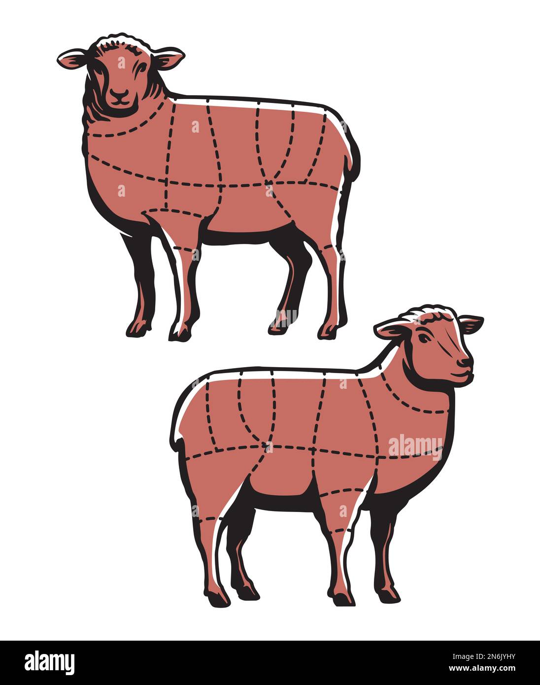 Lammschneiden. Schnittführung für Schaffleisch für Metzgerei oder Restaurant. Das Diagramm der Fleischerschnitte ist eine Vektordarstellung Stock Vektor