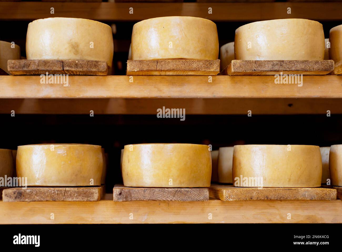 Regale mit weltberühmtem Schafmilch-Hartkäse, Pag Island, Kroatien Stockfoto
