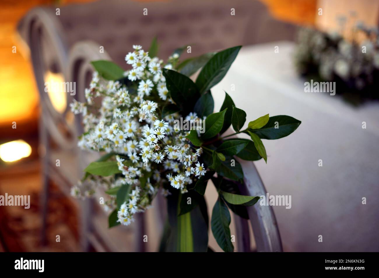 Schöne Blumen Hintergrund Stockfoto