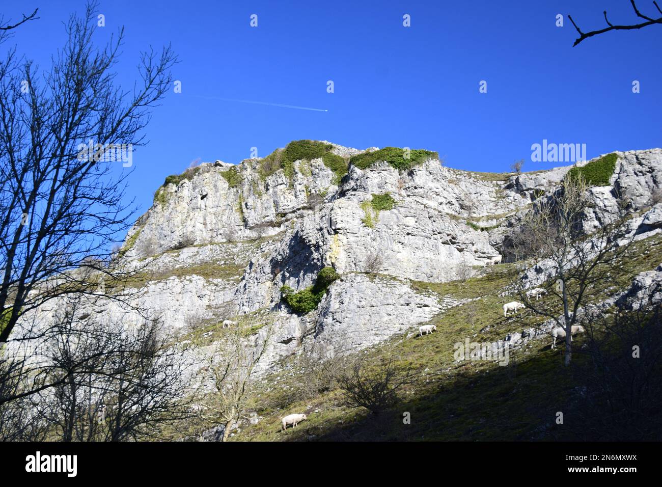 Ein Spaziergang am Wintertag Anfang Februar im Lathkill Dale-Teil des Derbyshire Peak District. Stockfoto