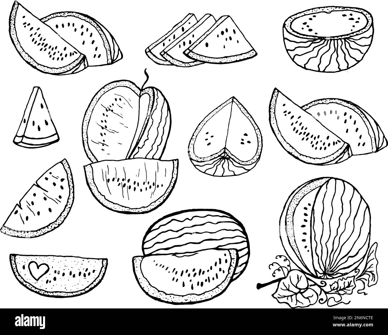 Handgezeichnete Vektordarstellung - Wassermelone und Scheiben Wassermelone Stock Vektor