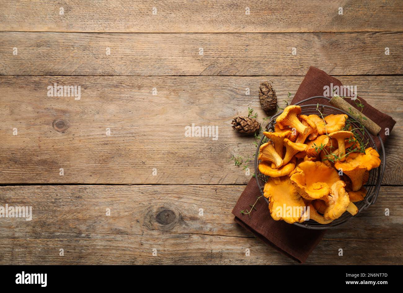 Frische wilde Pfifferling-Pilze auf Holztisch, flach liegend. Platz für Text Stockfoto