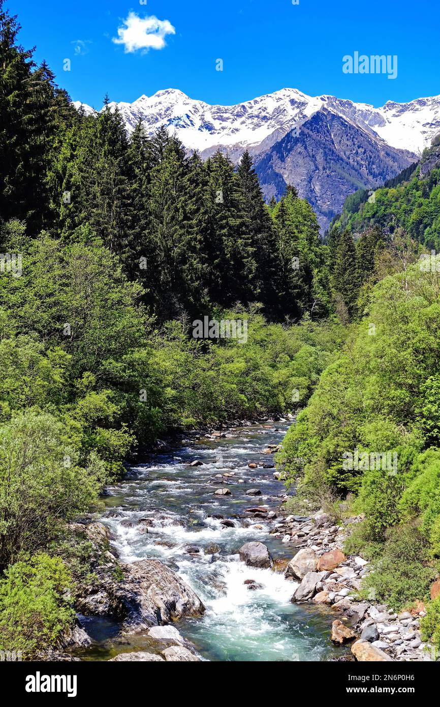 Blick auf den Fluss Passer, der malerisch durch das Passeier Valley in den Südtiroler Alpen fließt. Stockfoto
