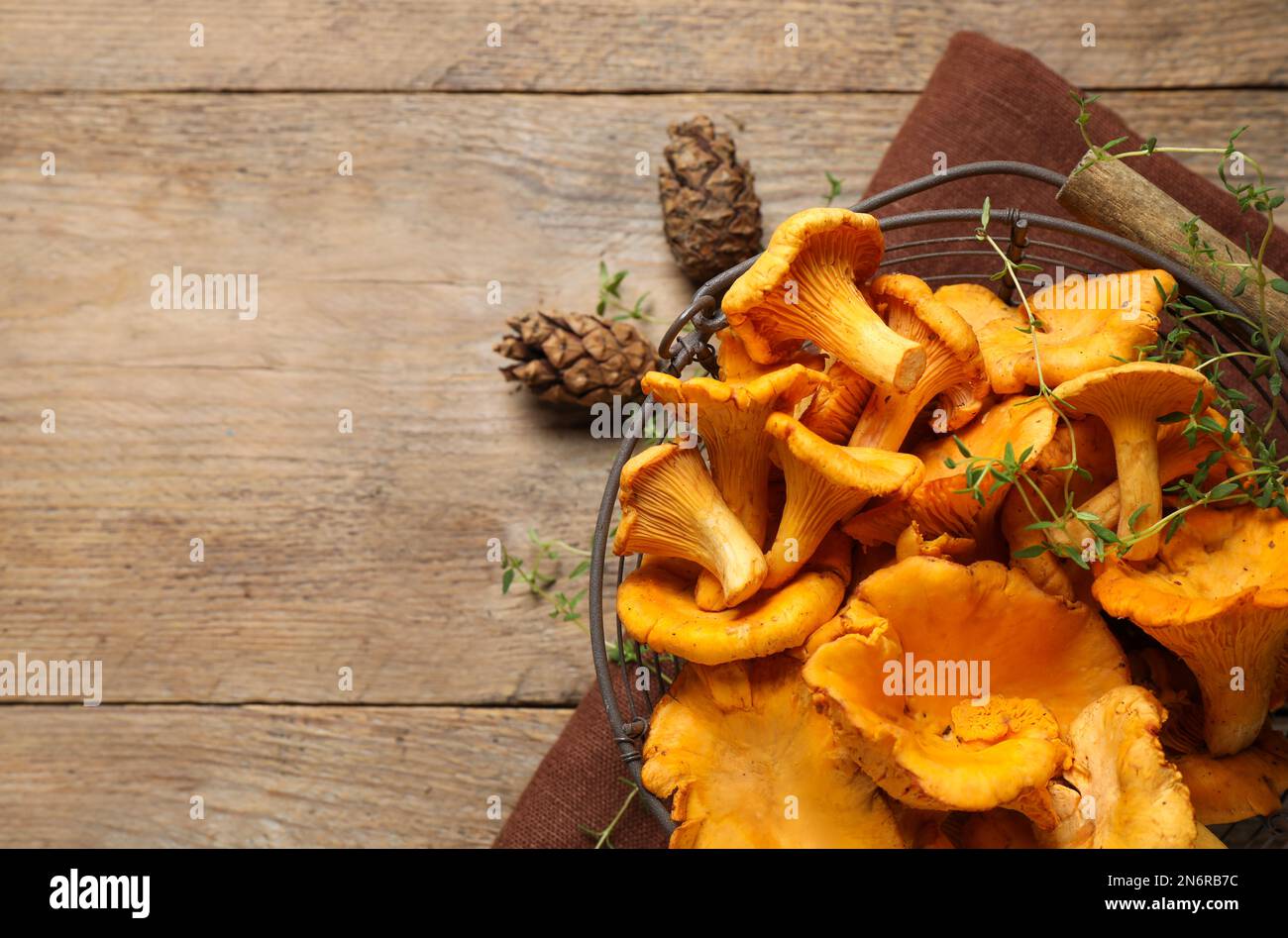 Frische wilde Pfifferling-Pilze auf Holztisch, flach liegend. Platz für Text Stockfoto