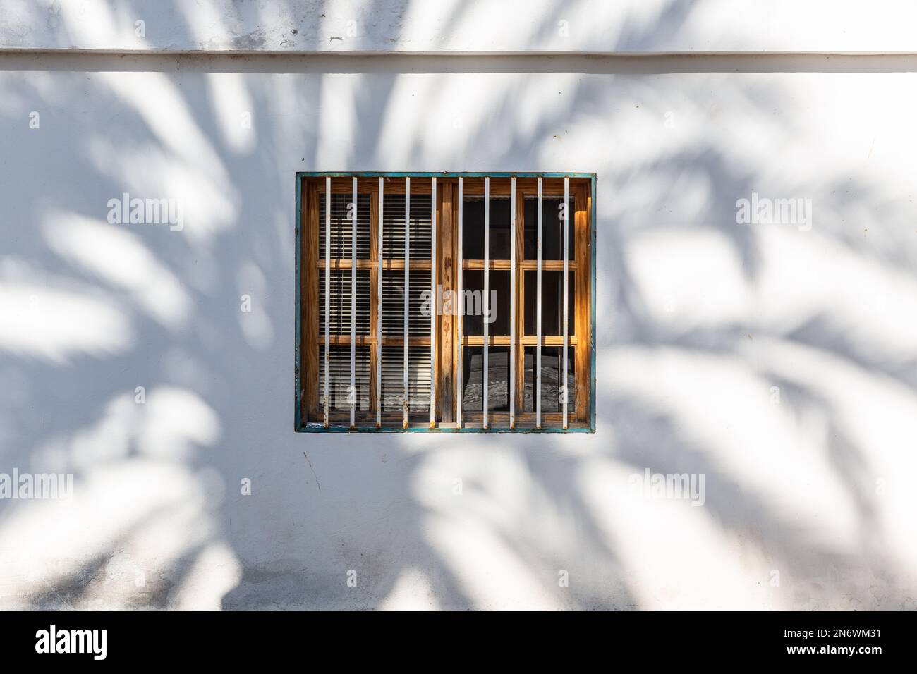 Schatten einer Palme, gegossen auf einer weißen Wand, durchbohrt von einem Fenster. Pajara, Fuerteventura. Stockfoto
