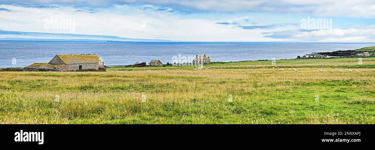 Verlassene Häuser auf Stroma Island mit Blick über das Pentland Firth zu den Skerries. Stockfoto