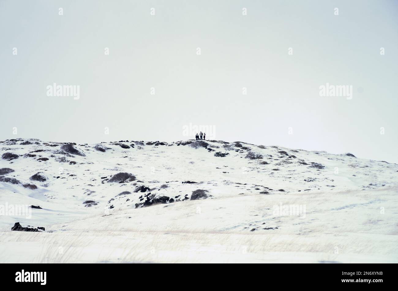 Minimalistische Fotografie einer schneebedeckten Berglandschaft mit Menschensilhouette am Rand des „Valle del Bove“ entlang des Weges auf der „Schiena“ Stockfoto