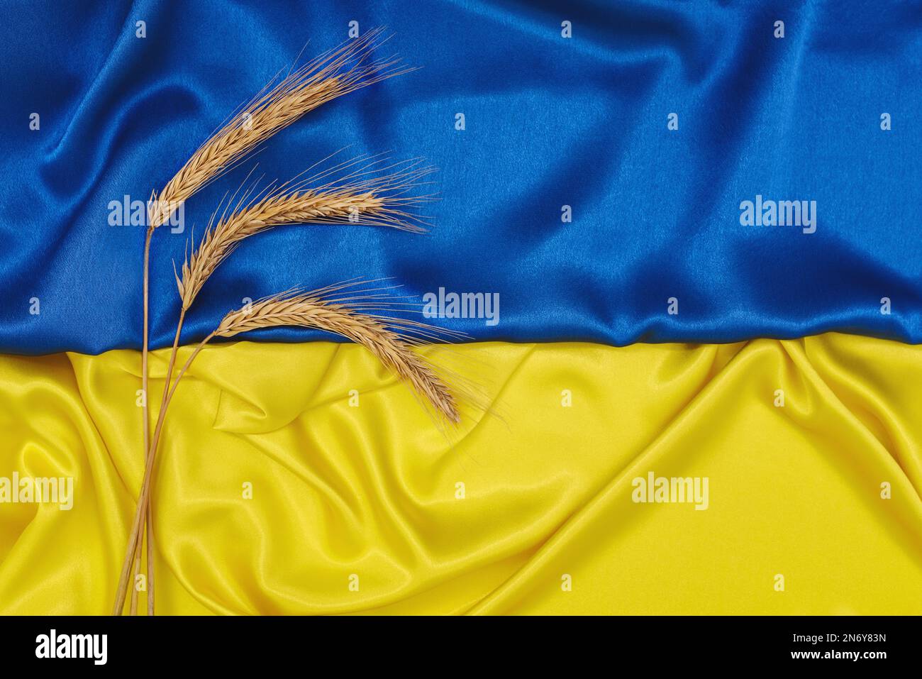 Goldene Weizenspitzen auf blau-gelber Seidenflagge der Ukraine. Tag der Unabhängigkeit der Ukraine, Tag der Flagge. Landwirtschaftliches Land. Konzept von Einheit, Unterstützung und Sieg. Stockfoto