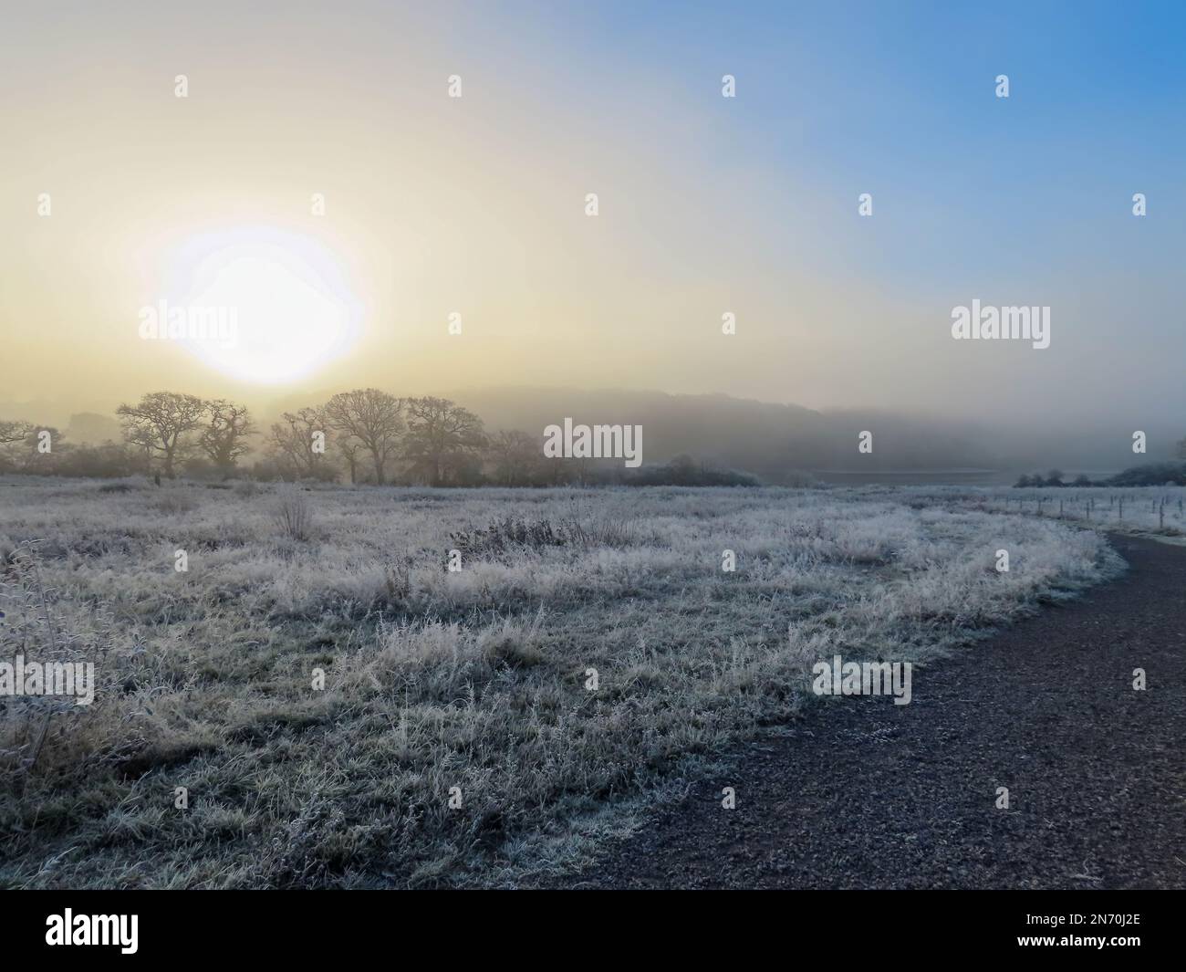 Fußweg durch frostbedecktes Gras mit Sonnenaufgang durch den Nebel über Bäumen Stockfoto
