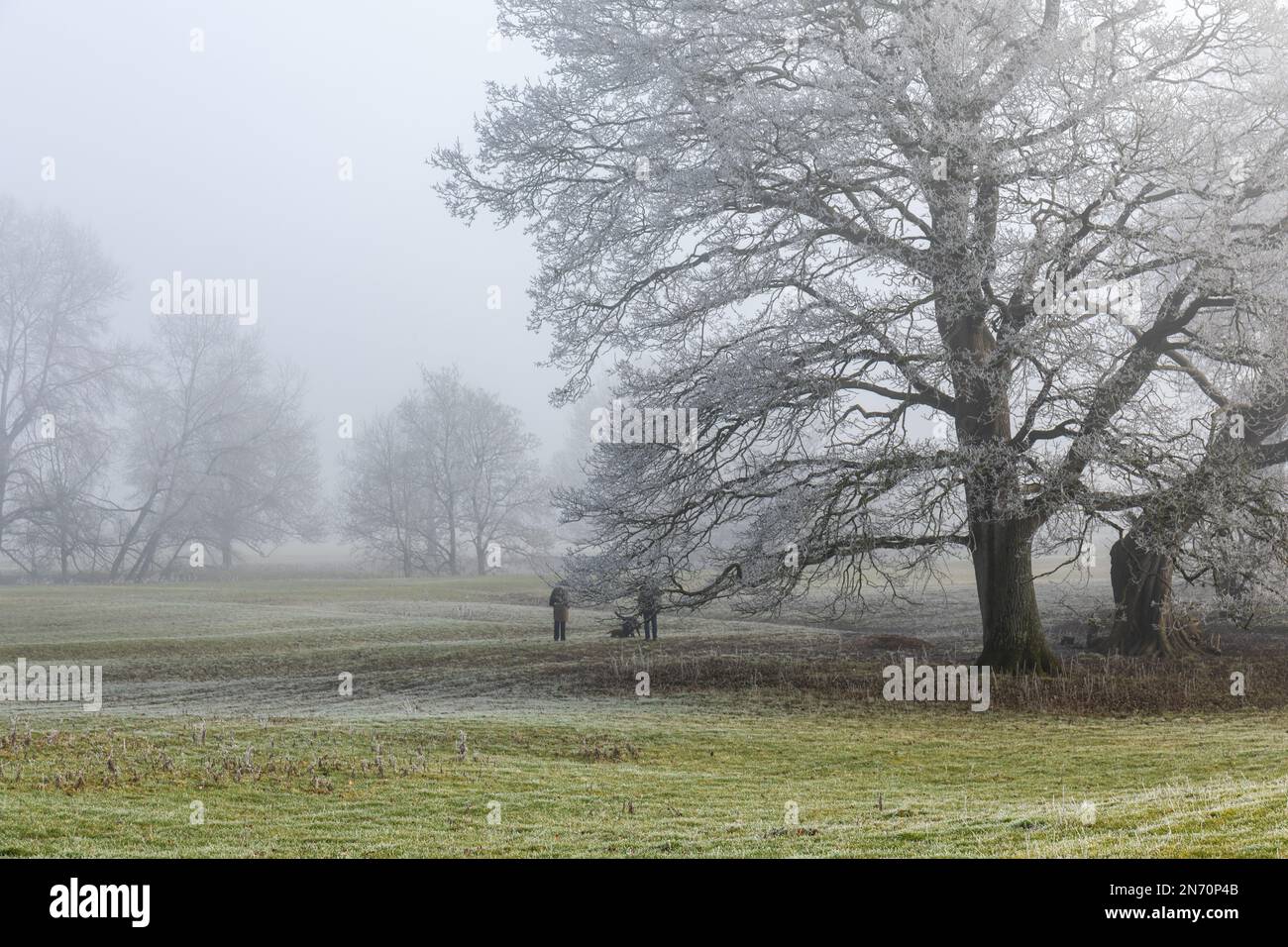 Ein Paar geht mit seinem Hund spazieren an einem kalten, frostigen nebligen Morgen im Februar. Ländliche englische Landschaft in Lacock, Wiltshire, England, Großbritannien Stockfoto
